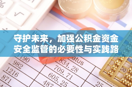 台山守护未来，加强公积金资金安全监管的必要性与实践路径