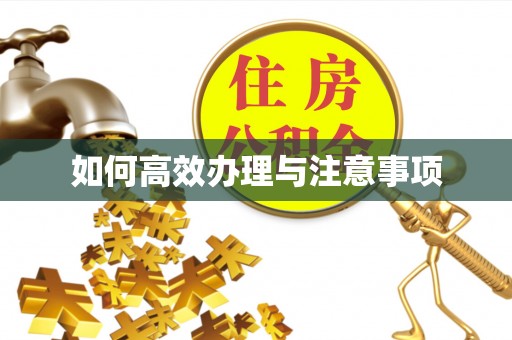 台山如何高效办理与注意事项