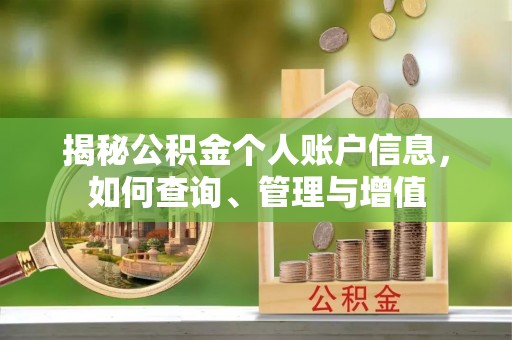 台山揭秘公积金个人账户信息，如何查询、管理与增值