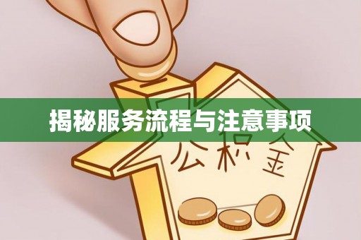 台山揭秘服务流程与注意事项