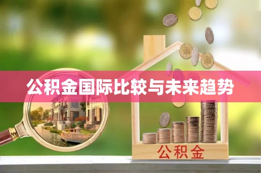 台山公积金国际比较与未来趋势