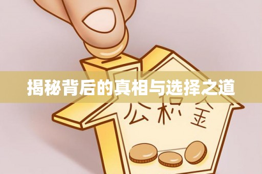 台山揭秘背后的真相与选择之道