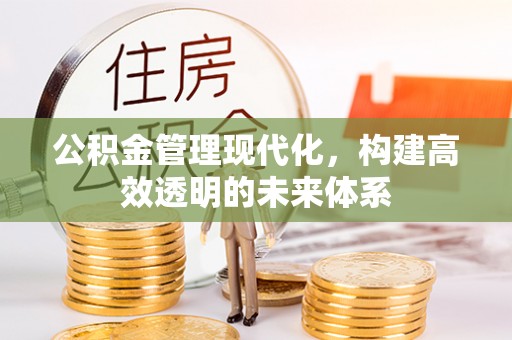 台山公积金管理现代化，构建高效透明的未来体系