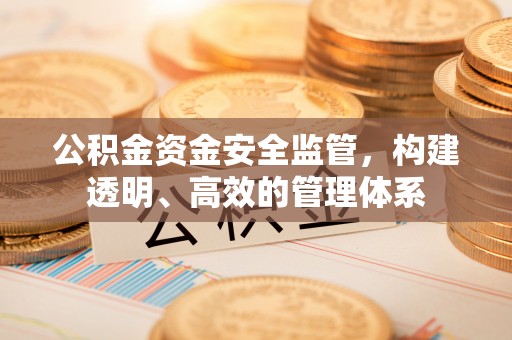 台山公积金资金安全监管，构建透明、高效的管理体系