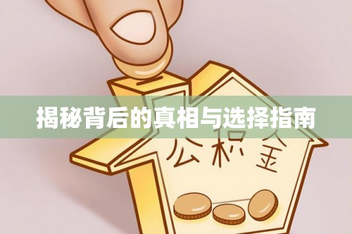 台山揭秘背后的真相与选择指南