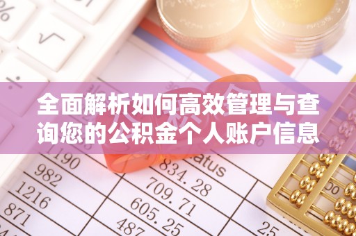 台山全面解析如何高效管理与查询您的公积金个人账户信息