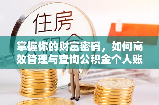台山掌握你的财富密码，如何高效管理与查询公积金个人账户信息