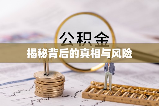 台山揭秘背后的真相与风险