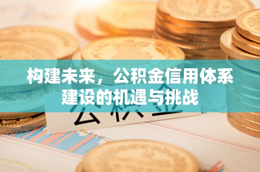 台山构建未来，公积金信用体系建设的机遇与挑战