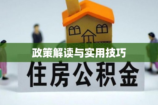 台山政策解读与实用技巧