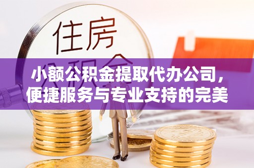 台山小额公积金提取代办公司，便捷服务与专业支持的完美结合