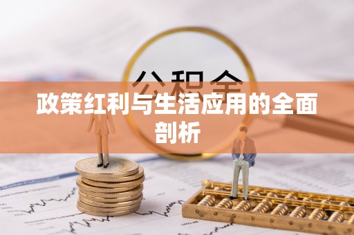 台山政策红利与生活应用的全面剖析