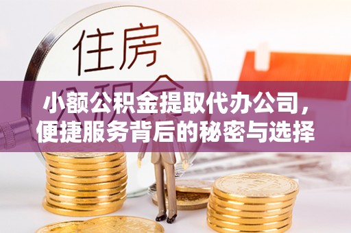 台山小额公积金提取代办公司，便捷服务背后的秘密与选择指南