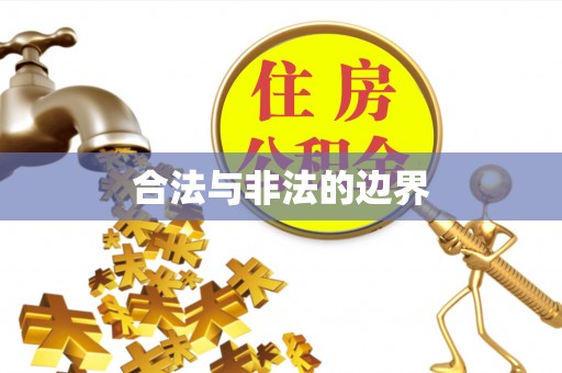 台山合法与非法的边界