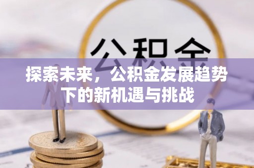 台山探索未来，公积金发展趋势下的新机遇与挑战