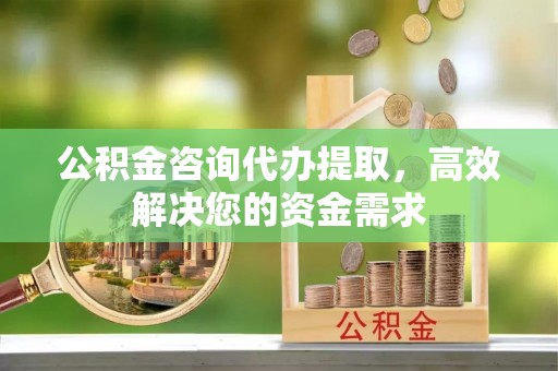 台山公积金咨询代办提取，高效解决您的资金需求