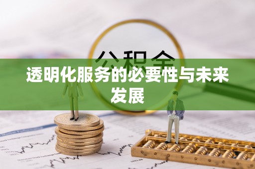 台山透明化服务的必要性与未来发展