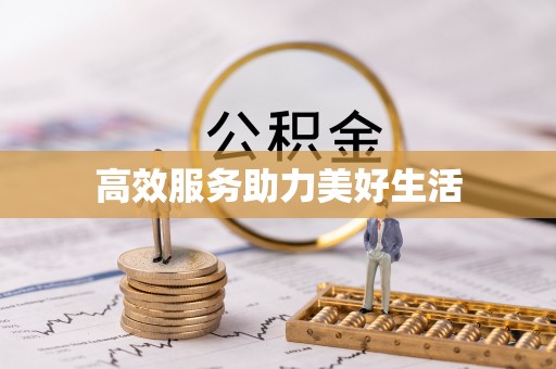 台山高效服务助力美好生活