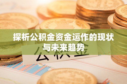 台山探析公积金资金运作的现状与未来趋势