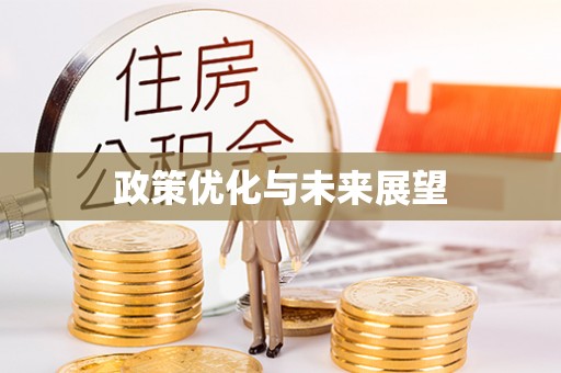 台山政策优化与未来展望