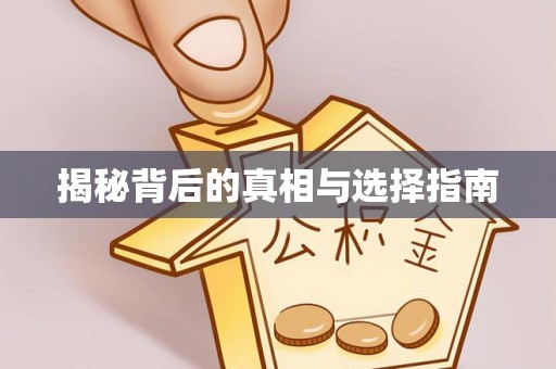 台山揭秘背后的真相与选择指南