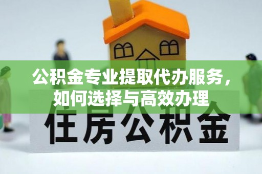 台山公积金专业提取代办服务，如何选择与高效办理