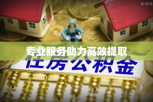 台山专业服务助力高效提取